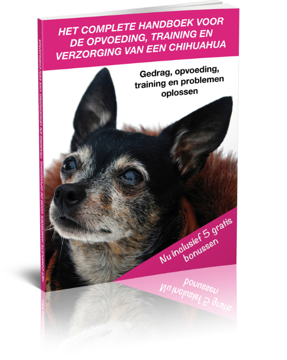 Chihuahua handboek
